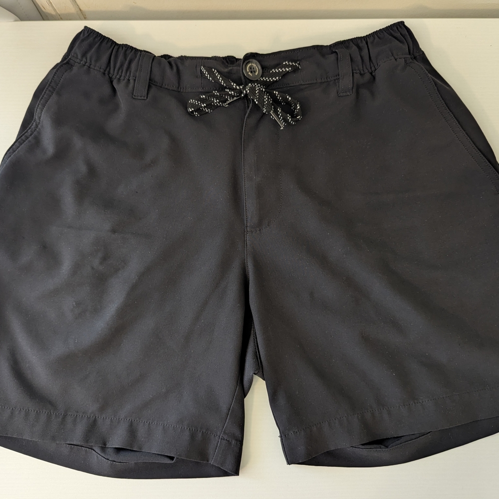 Chubbies Everywhere Performance Short - 6 inch | Men's Small